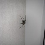 test 2